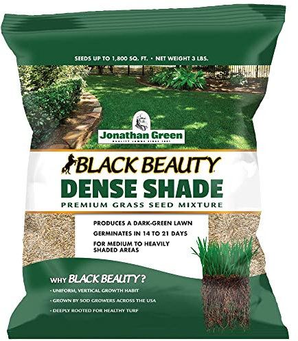 Jonathan Green (10600) Black Beauty Dense Shade Grass Seed - Cool Season Lawn Seed (3 lb)