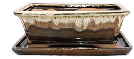 Exotenherz - Bol à bonsaï avec soucoupe taille 4 - marron/beige - rectangulaire - Modèle G93 - L 25,5 cm - l 20 cm - H 9 cm
