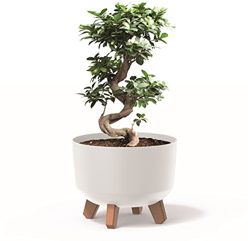 botle Pot de fleurs avec pieds - Diamètre : 24 cm - En plastique blanc - Avec insert mat - Pour arbre à argent - Cactus - Arbre en caoutchouc - Plume porte-bonheur