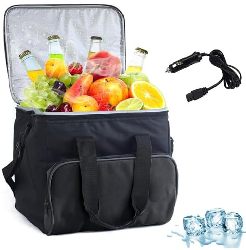 Tragbare elektrische Kühltasche, 15 l – 12 V Gleichstrom, Auto-Kühlschrank mit Schultergurt und Aufbewahrungstasche, für Camping, LKW und Wohnmobil