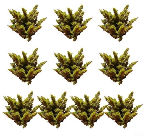 Mezcla perfectamente con cualquier estilo de decoración, paquete de 10 arbustos verde oscuro para mejorar el paisaje