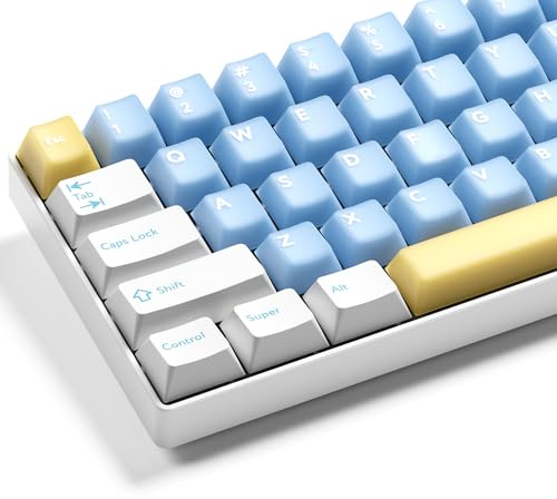 XVX White and Blue Keycaps, Doubleshot PBT Keycap Set Cherry Profile, 142 Keys Keyboard Keycaps, Universal Compatiability with 60%, 65%, 75%, 100% Mechanical Keyboard