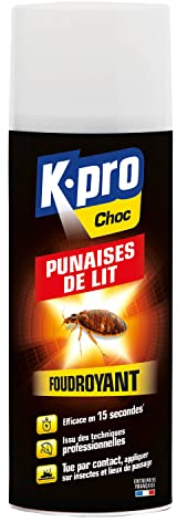 K.Pro Aérosol Foudroyant Punaises de Lit - 400 ML - Idéal pour éliminer Rapidement Les Punaises de Lit et Leurs Larves - Pack de 2, Voir Photo