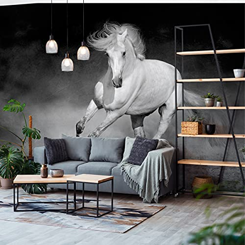 Muralo Fabelhafte Selbstklebende Fototapete 360x240 Büro schwarz-weißes Pferd Dekor Moderne Tapete Wohnzimmer Schlafzimmer Wandbilder Wandtapete XXL Luxus Abstrakt Br. 360 cm x Hö. 240 cm