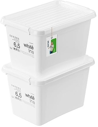 PAFEN 2x Aufbewahrungsbox mit Transparent Deckel 6,5L - 30 x 20 x 18 cm - Boxen Aufbewahrung Stapelboxen mit Verschlussclips Kunststoffbehälter Kleiderboxen Organizer | Weiß