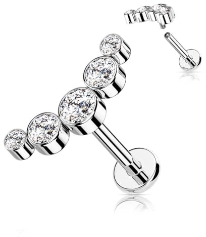 Stachelkleid Titan Labret Zargenfassung 5 Zirkonia Innengewinde Piercing Ohr-Stecker Helix Tragus