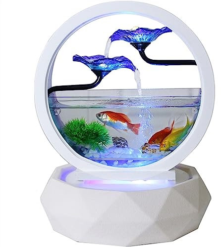 HASMI Aquarium rund, schönes transparentes Glas, Goldfischbecken, Wohnzimmer, klein, ökologisch, for den Schreibtisch, Aquascape, Heimaquarium, Dekoration