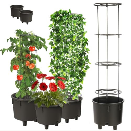Topfeinsatz 2 Stck Einsatz Blumenstütze Ø28,5cm mit Abnehmbarer Rahmen für Kletterpflanzen Modular für Tomaten Bohnen Erbsen Kunststoff Garten Wohnung Gewächshaus Balkon Terrasse Orangerie Gesteck