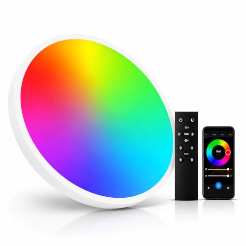 DOMIRA Smart Slim LED Ceiling Light 22W Ø30cm, Slim Edge WiFi Ceiling Lamp, RGB + 2700K-6500K Adjustable White, App & Alexa Google Compatible, AC85-265V, Modern Flush (with Remote)