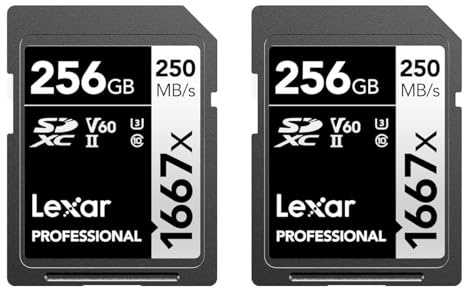 Lexar LSD1667 x 256 GB SDXC UHS-II Karten, bis zu 250 MB/s Lesen, für professionelle Fotografen, Videofilmer, Enthusiasten, LSD1667256G-B2NNU, 2 Stück, schwarz/grau