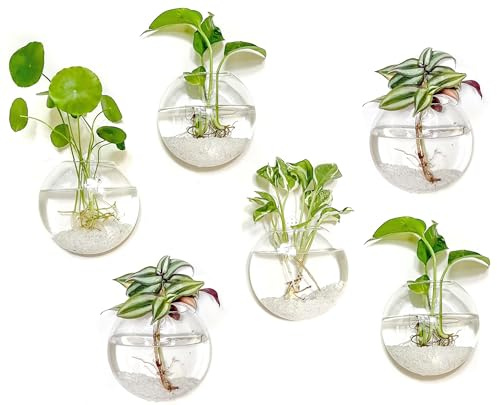 Kingbuy 6-Pack Oblate Wall Hanging Glass Planter for Hydroponic Plants | Borosilicate glass vases; brush included; for pothos/air plants; ideal for living room/office/bathroom decor; great gift