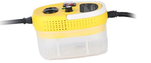 Nettoyeur à Vapeur Portable Haute Température 2500W, Chauffage Rapide pour le Nettoyage de la Maison et de la Voiture (Prise UE)