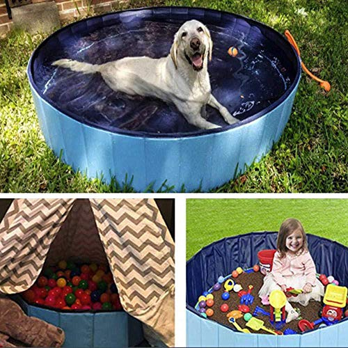 Fictory Foldable Paddling Pool, Anti-Skid Hard Plastic Pet Bath for Dogs & Kids, 160 x 30cm, Blue