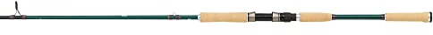 Abu Garcia Beast X Cork Handle Casting Rod - Raubfisch Baitcast Angelrute - Hecht, Zander