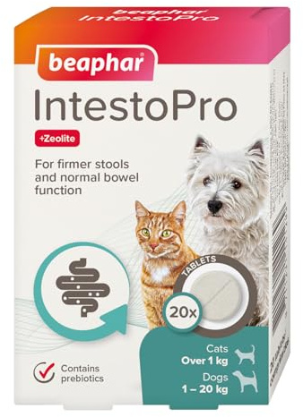 Beaphar IntestoPro Darmregler für kleine Hunde und Katzen, 20 Tabletten