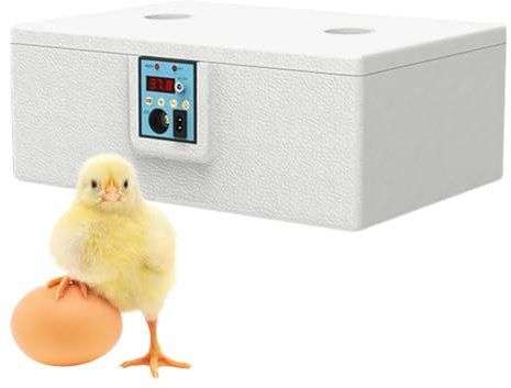 Huhn Brutkästen Bruteier, Wachteln Ei Inkubator, 43,5 x 32 x 15 cm, Intelligente Heimzuchtbox, für Hühner, Enten, Gänse, Wachteln, Papageienbrutkasten