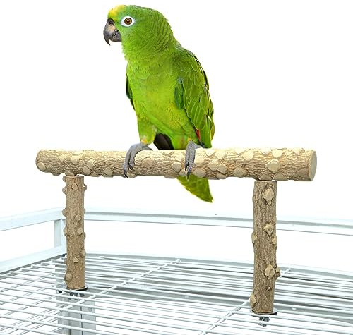 Bird Perch Stand, Bird Cage Top Perch Gym,Natural Wood Parrot Branch for Small Medium Large Parrot (S)