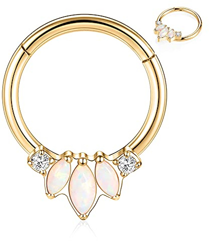 AROWRO 16 G Septum & Daith Bijoux - Anneaux de cloison nasale en acier chirurgical 316L, boucles d'oreilles Daith, boucles de nez, Clicker, Rook, Helix, lobe, piercing pour cartilage