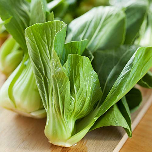 Chinakohl Pak Choi Samen - adaptabilität gegenüber chinensis