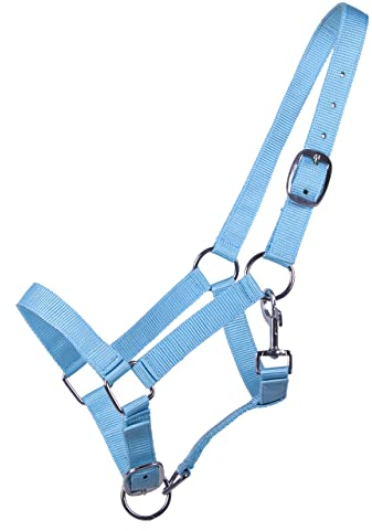 QHP Cabestro para potro Jährling (2 posiciones, ajustable), color azul