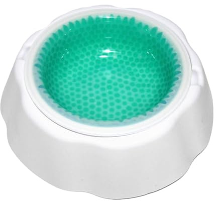 Gamelle isotherme pour chiens et chats - Facile à nettoyer - Avec design à condensat pour conserver la nourriture et l'intérieur