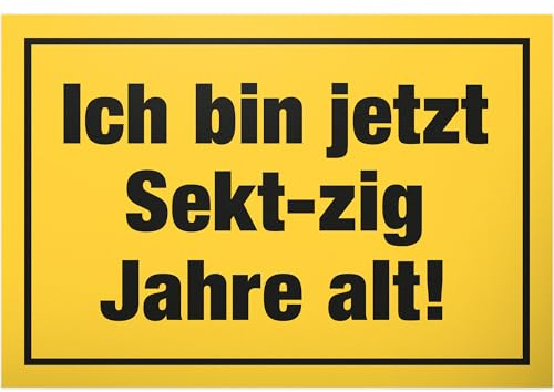 DankeDir! Sektzig Jahre Sechzig - Schild 30 x 20 cm - 60er Geschenk Geburtstagsgeschenk 60. Geburtstag 60 Jahre Freundin Frauen - Geburtstagsdeko Partydeko Geschenkidee Geburtstagskarte