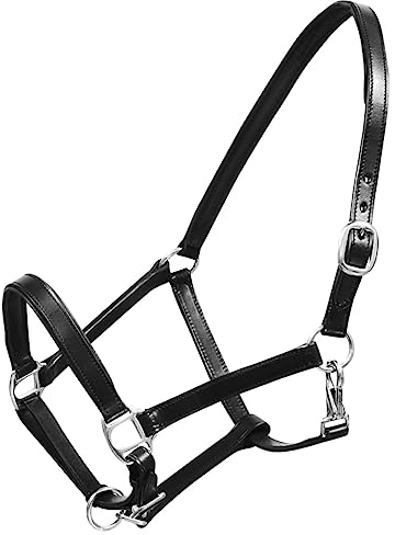 DIGBYS Echt Leder Halfter Stallhalfter Verstellbar Schwarz Voll