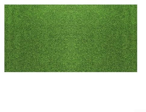 Tapis en mousse d'herbe 15 cm/30 cm/50 cm Fausse herbe verte (50 × 100 cm)