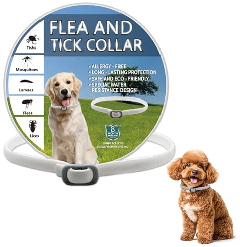 Collar antiparasitario para perros 1 unidad tamaño ajustable gris protección 8 meses para pulgas garrapatas y ácaros resistente al agua