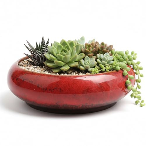 Fioriera a forma di loto da 7, 4 pollici in ceramica con smalto fluido, vaso da fiori poco profondo con foro di drenaggio per piante da interno, piante grasse, cactus e decorazioni per la casa, rosso