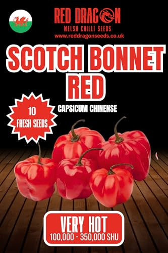 Scotch Bonnet Red Chilli Seeds - 10 Fresh Scotch Bonnet Red Chilli Seeds