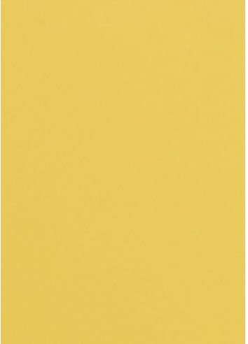 Netuno 50x farbiges Tonpapier Gelb DIN A4 21 x 29,7 cm 120g Malmero Soleil gelbes Bastelpapier farbig bedruckbar Farbpapier Kartonpapier bunt hochwertig buntes Tonpapier für Bastelarbeiten