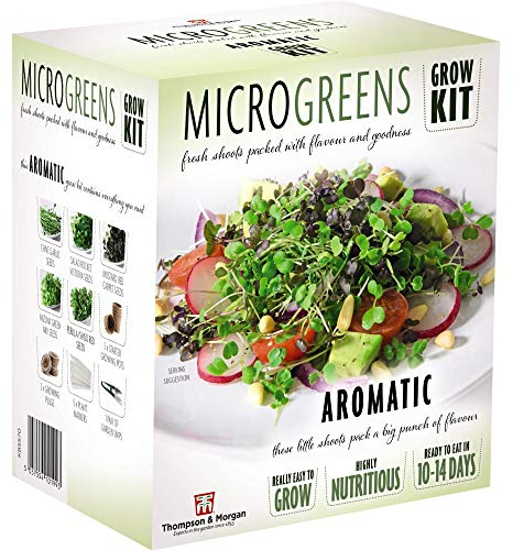 Microgreens Aromatic Seed Grow Kit Hardy Annual Seeds Easy to Grow Your Own at Home 1 x Seed Grow Kit by Thompson and Morgan