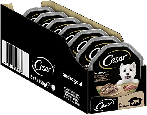Cesar Landragout Schale Adult 14 x 150 g mit Truthahn, Kräutern & Rindfleisch Stückchen in Sauce (14er-Packung)