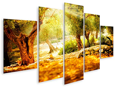 islandburner Bild auf Leinwand Olivenbäume Im Sonnenlicht Bilder Wandbilder Poster