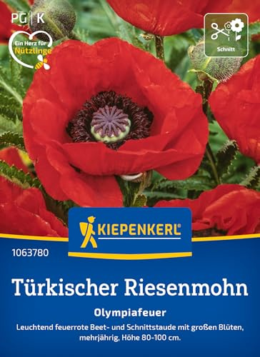 Kiepenkerl Türkischer Riesemohnsamen Olympiafeuer 1063780, Blumensaat | Leuchtende feuerrote Blüten für den Garten, Blumenwiese, als Schnittblume