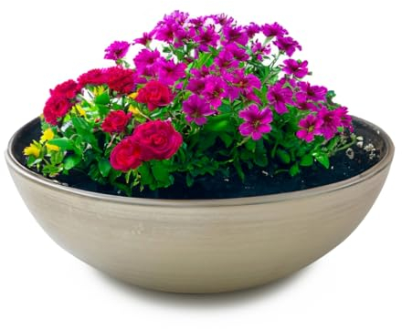 matches21 - Ciotola decorativa moderna per esterni, in stile champagne, laminata come vaso da fiori, 25 x 9 cm, per decorazione da giardino, per uccelli, balcone, soggiorno