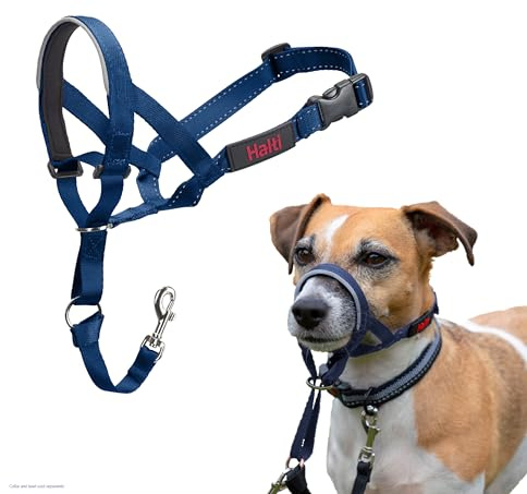 HALTI Headcollar - För att hindra din hund från att dra i kopplet. Justerbar, reflekterande och lätt, med vadderat näsband. Anti-draghalsband för hundträning för små hundar (Storlek 1, Koboltblå)