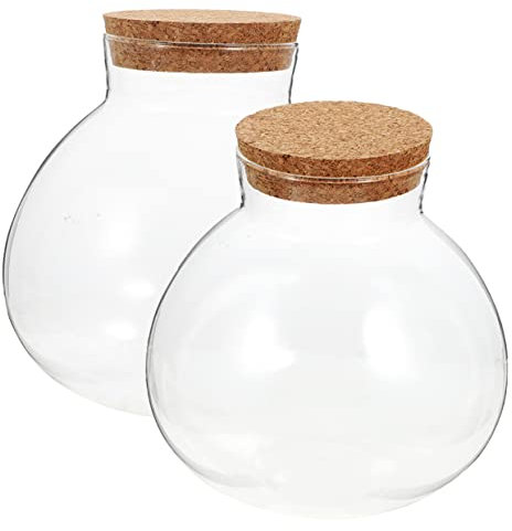 Happyyami 2St Eco-Flasche Selbstbewässernde Pflanzgefäße bydro Fischglas Pflanzen erweiterbar lagercontainer dekorativer Mikro-Landschaftsbehälter Mikrolandschaftsdekor Kork