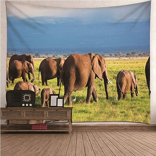 Aotiwe Wandvorhang Outdoor, Wandteppiche Set Braune Linien mit Farbverlauf Braun Tuch Wand aus Polyester Wand Deko 300x260cm