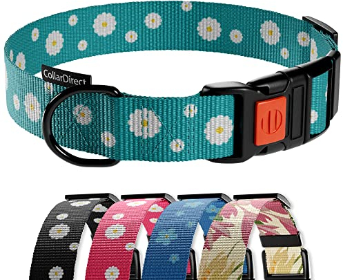 CollarDirect Hundehalsband mit Blumenmuster, Nylon, Blumendruck, verstellbar, für Hunde, kleine, mittelgroße und große Welpen (Grüne Gänseblümchen, 25-33 cm)
