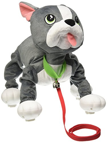 Peppy Welpen – Französische Bulldogge Hund