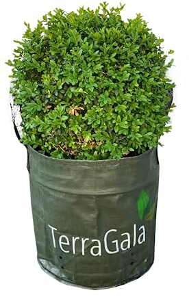 TerraGala Gartensack, extra großer Pflanzsack, Laubsack aus recyceltem Kunststoff, 135l, Ø55cm, 45cm Höhe (20 Stück)