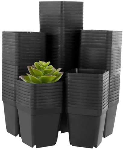 Paquete de 100 macetas cuadradas de plástico, pequeñas con agujeros de drenaje, ideales para suculentas, cactus y plántulas, color negro