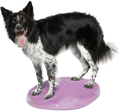 FitPAWS Balance Disc - Razzleberry - 56 cm