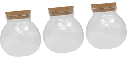 BESTonZON 3stücke Hitzebeständige Transparente Glasbehälter Mit Holzdeckel Luftdichte Vorratsdosen Für Tee Süßigkeiten Und Lebensmittel Für Aufbewahrung Von Reis Und Gewürzen