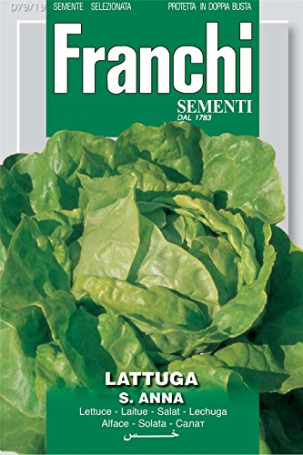 Franchi Seeds of Italy - Lettuce - St. Anna - Seeds