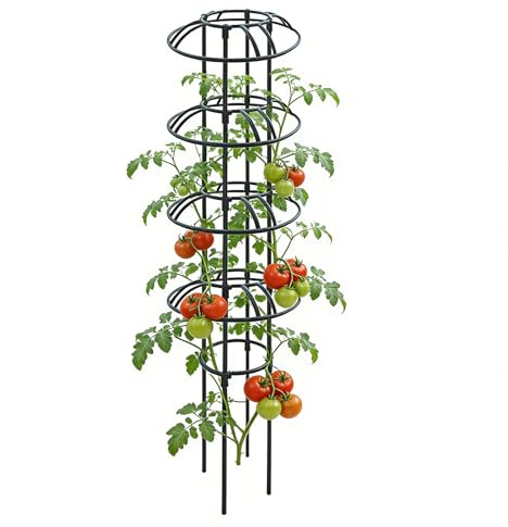 Enrejado para Plantas Trepadoras | Resistente y antioxidante,Enrejado Obelisco para Plantas,para Flores, Frutas, Verduras y Plantas trepadoras en Interior, Exterior, Invernadero o Maceta