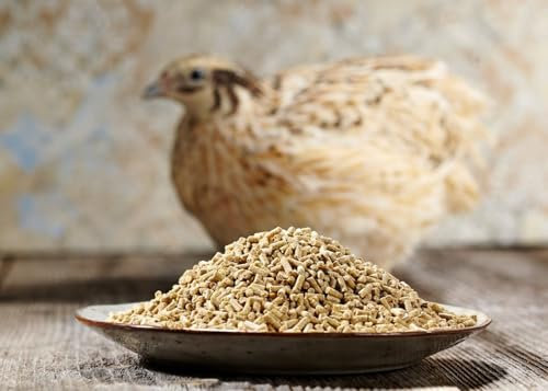 WachtelGlück® Bugs Free Wachtelfutter 25Kg