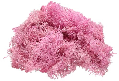 QUARKZMAN Musgo de Reno Preservado 4 OZ Musgo Artificial para Manualidades Musgo Seco Artificial para Decoración Manualidades Terrarios Plantas en Maceta Centros de Mesa (Rojo Rosa)